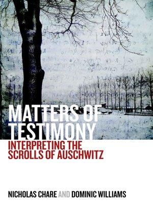 cover image of Matters of Testimony